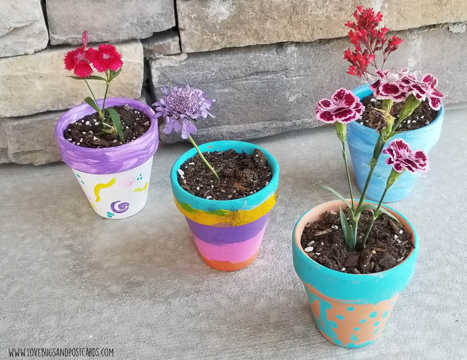 flower Planters
