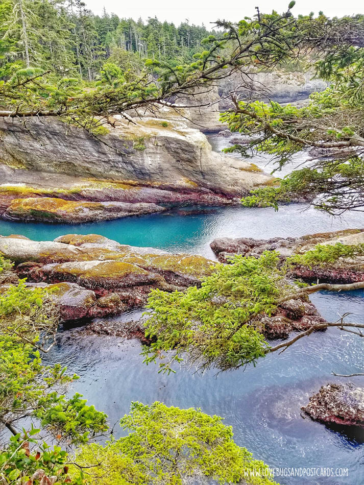 Cape Flattery Trail in Washington