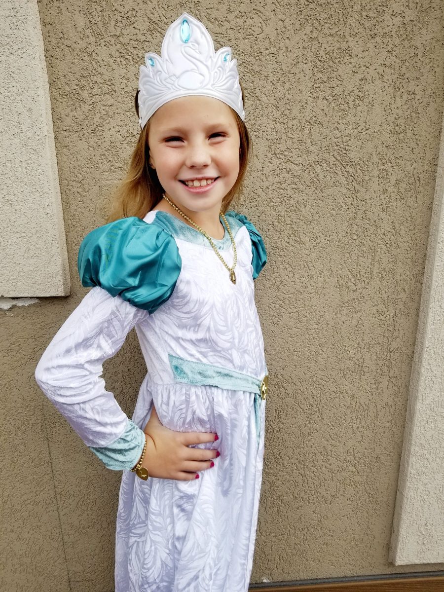 Swan Princess 25th Anniversary Movie and Costume