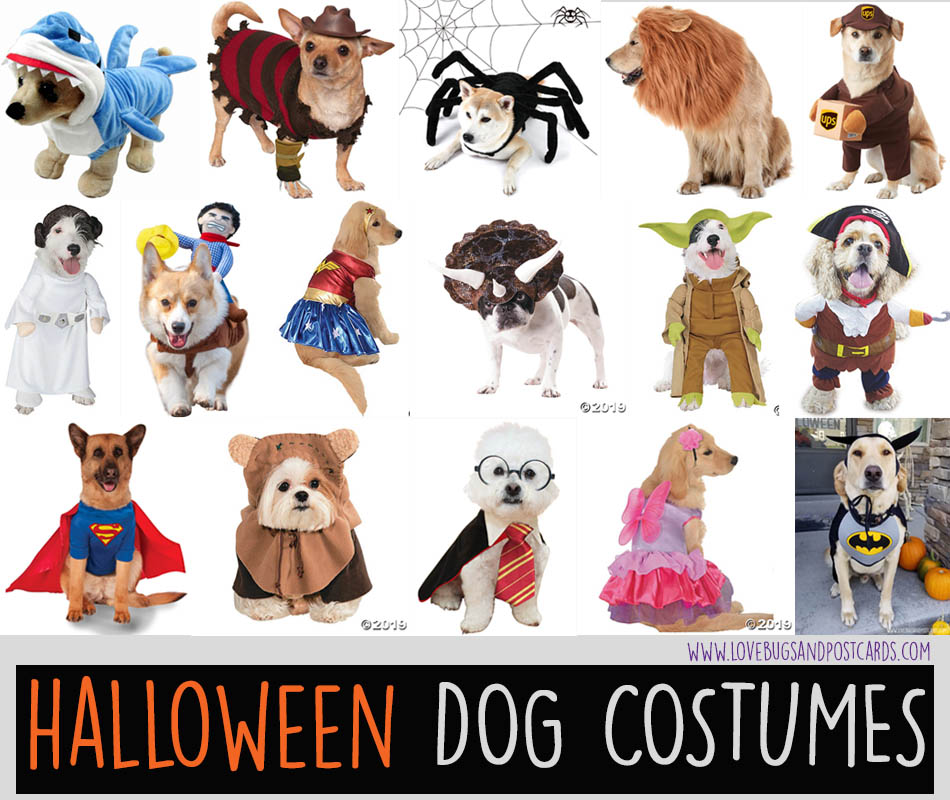 Halloween Dog Costume Ideas