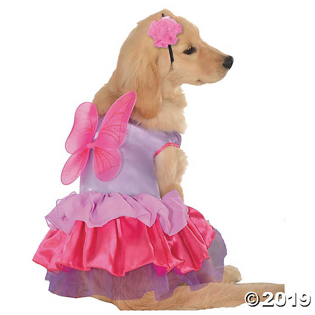 Pixie Pup Dog Costume