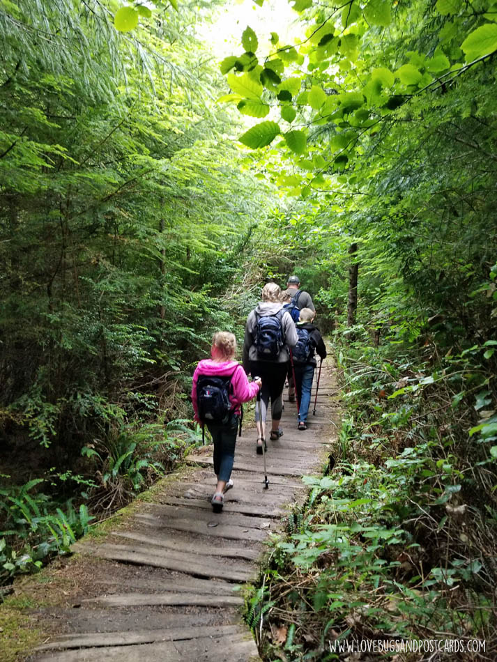 Shi Shi Beach Trail Hike in Washington