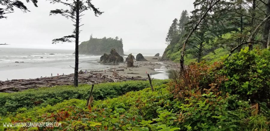 Ruby Beach in Washington