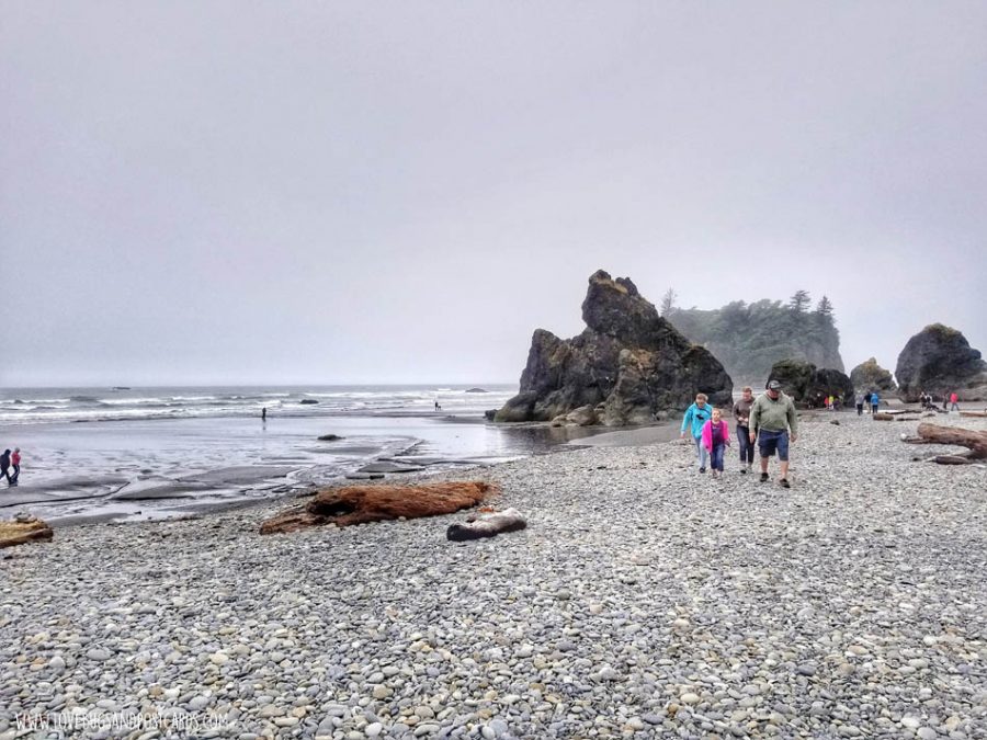Ruby Beach in Washington