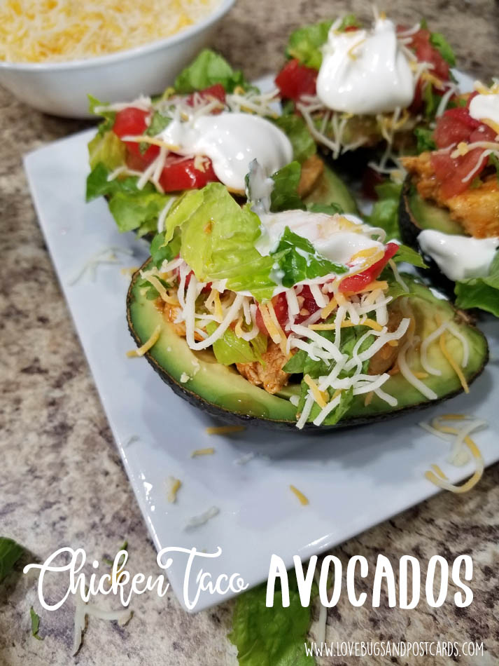 Chicken Taco Avocados Recipe