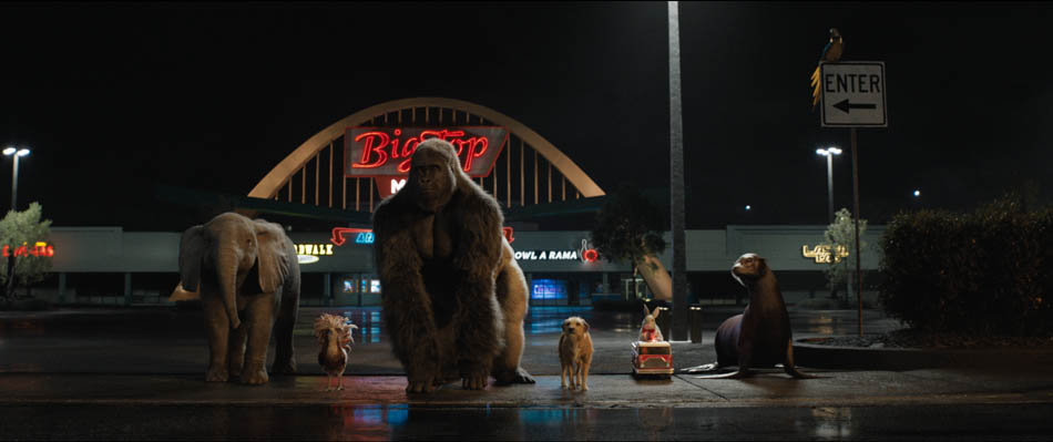 Disney’s THE ONE AND ONLY IVAN is now available on Disney+