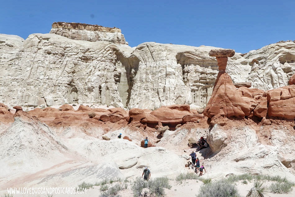 Toadstool Hoodoos