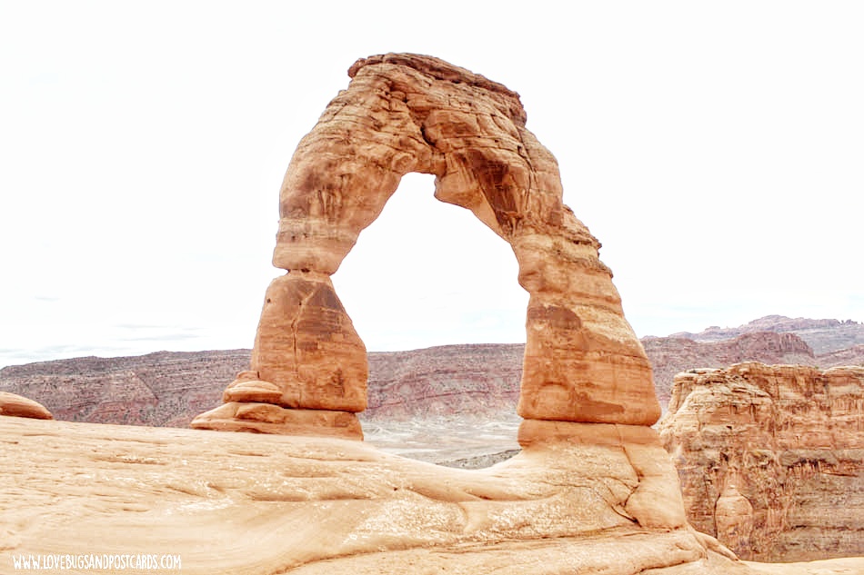 Discounted & FREE Admission Days in UTAH for Hogle Zoo, Loveland Living Planet Aquarium, Red Butte Gardens, and more