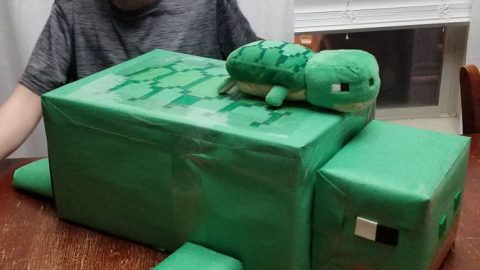Minecraft Turtle Valentine’s Box