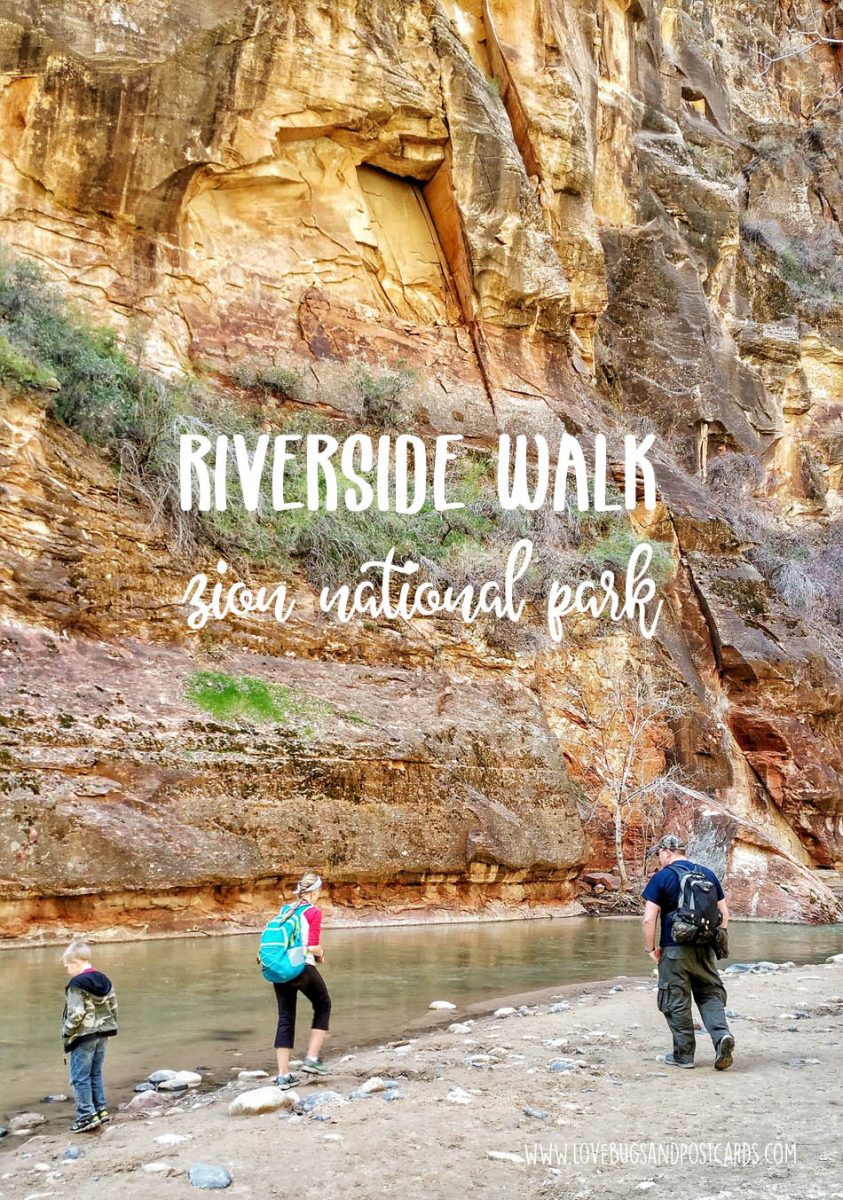 Riverside Walk Trail Zion National Park