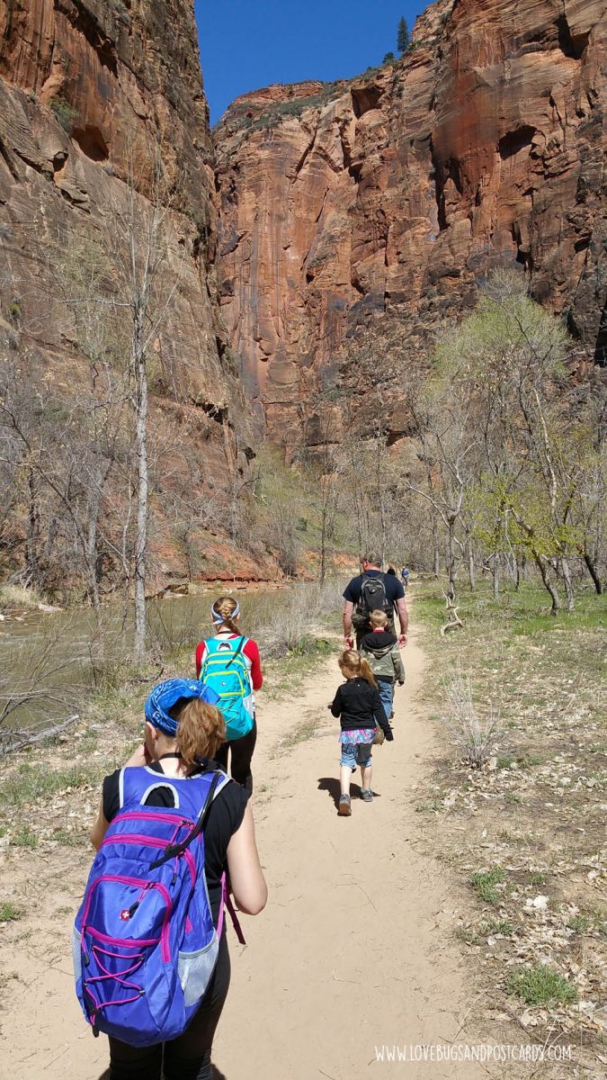 Riverside Walk Trail Zion National Park