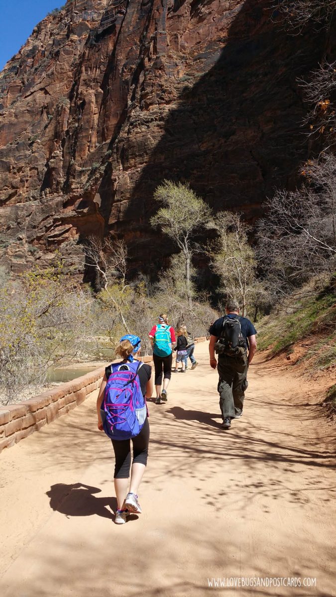 Riverside Walk Trail Zion National Park