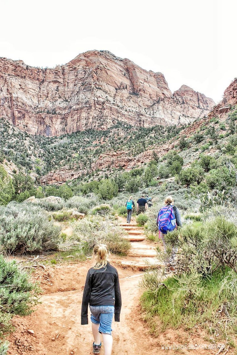 Watchman Trail Hike Zion National Park