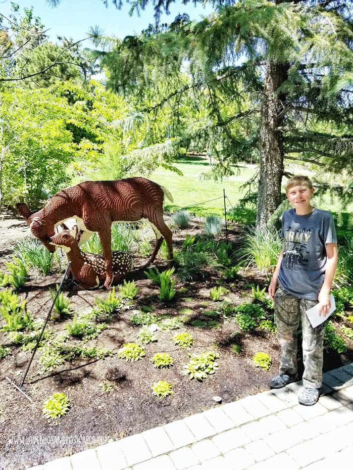 Sean Kenney’s Nature Connects Made with LEGO® Bricks at Thanksgiving Point - Doe and Fawn