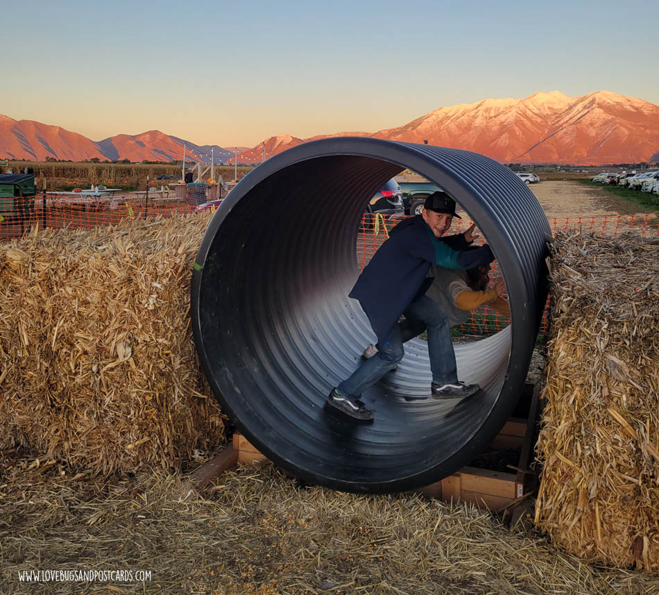 Glen Ray's Corn Maze Utah