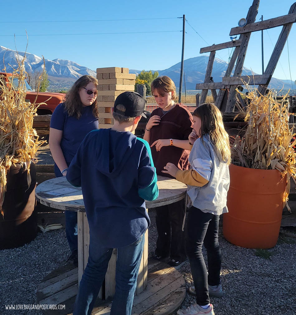 Glen Ray's Corn Maze Utah