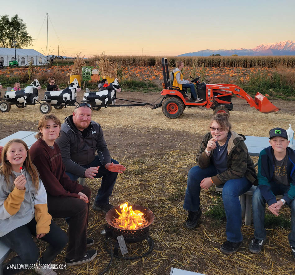 Glen Ray's Corn Maze Utah