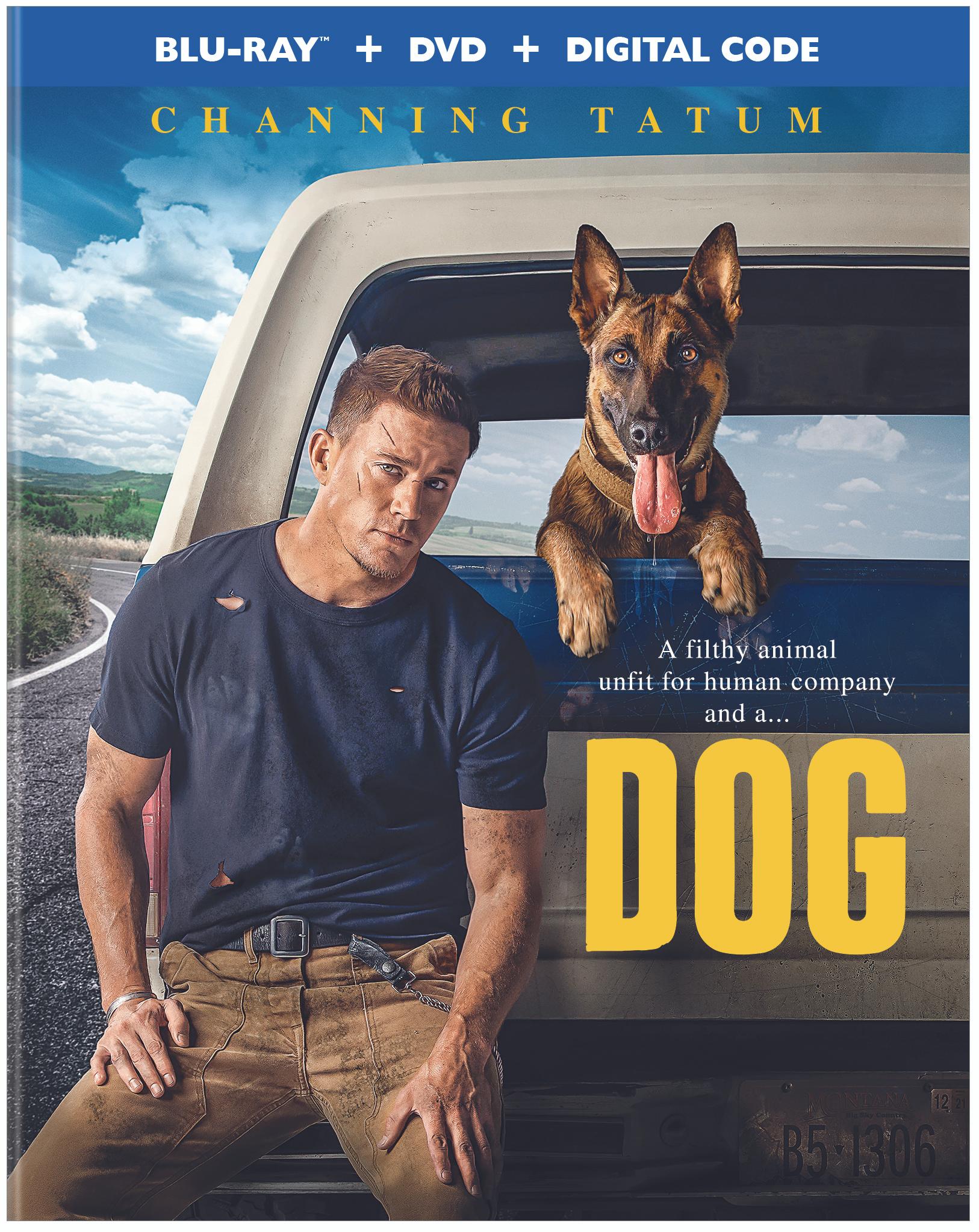 DOG movie giveaway