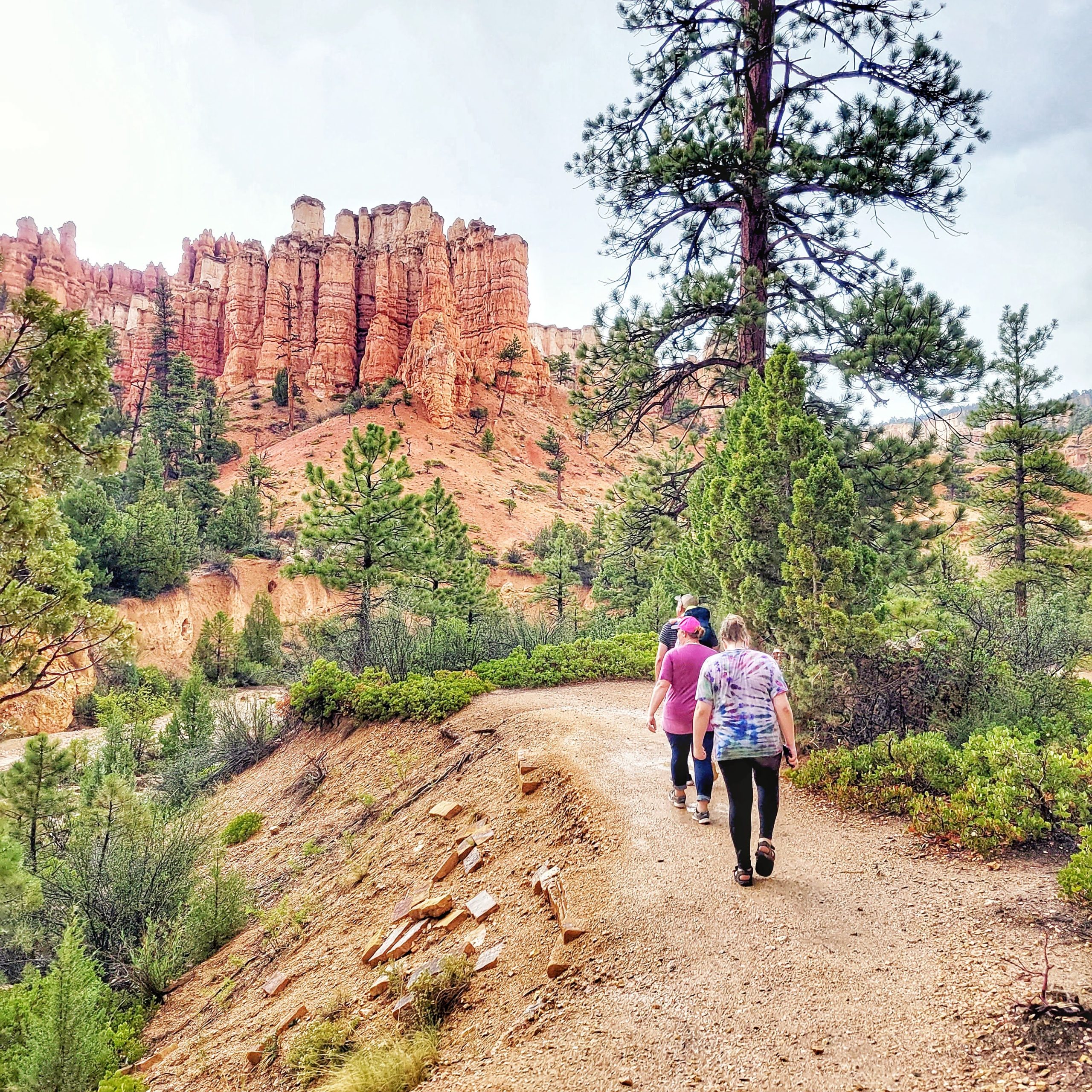 Mossy Cave Trail - Bryce Canyon National Park in 1 day