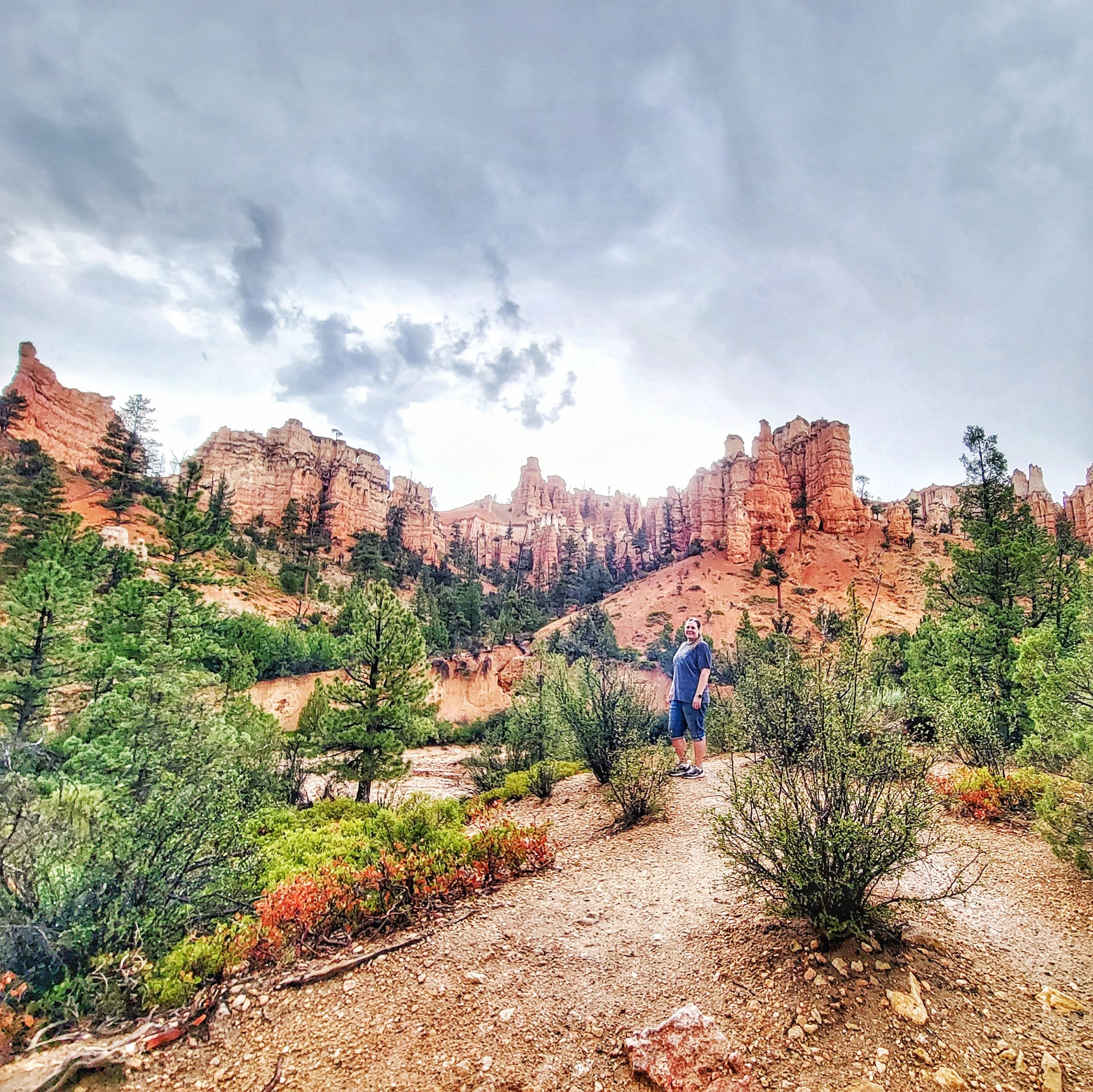 Mossy Cave Trail