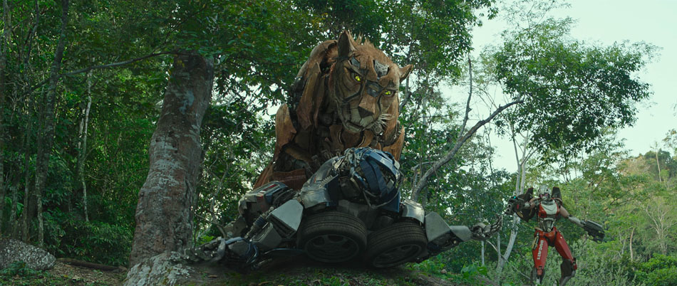 Transformers: Rise of the Beasts activity sheets