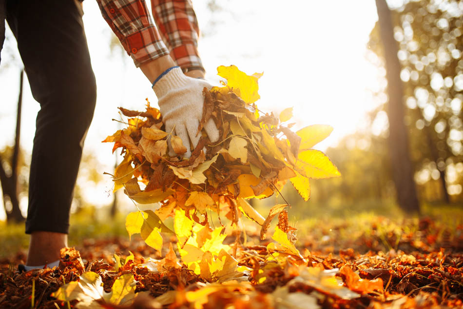 Fall cleaning checklist printable