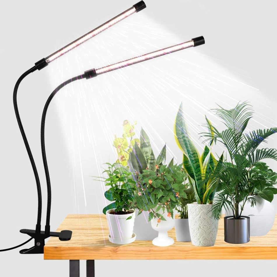 grow light