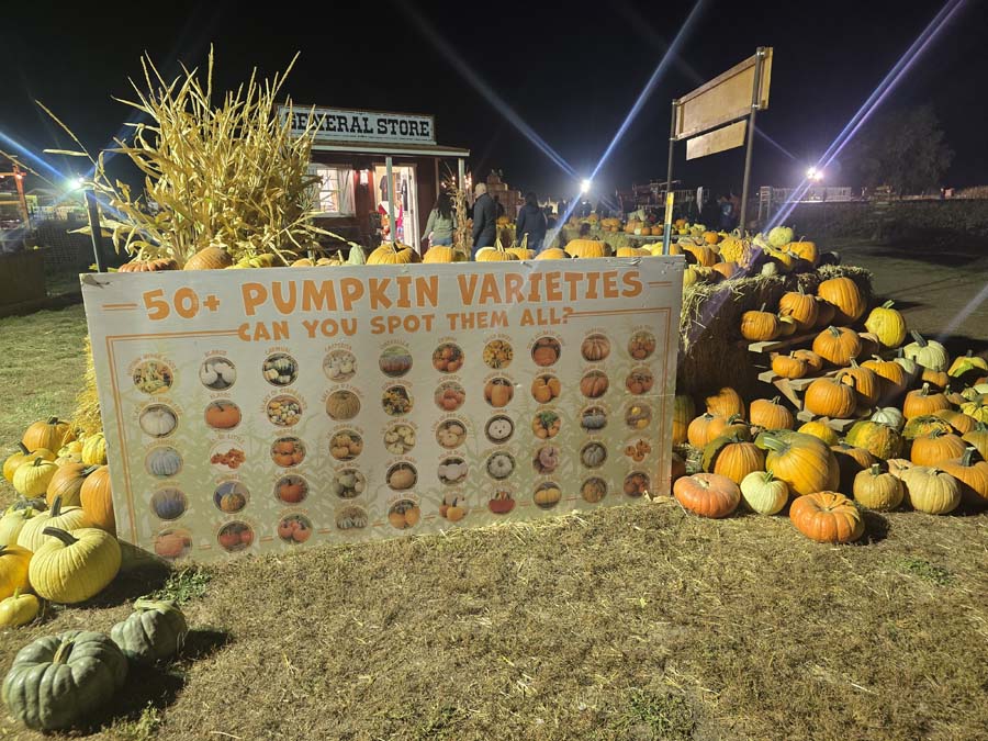 Glen Ray's Corn Maze in Utah