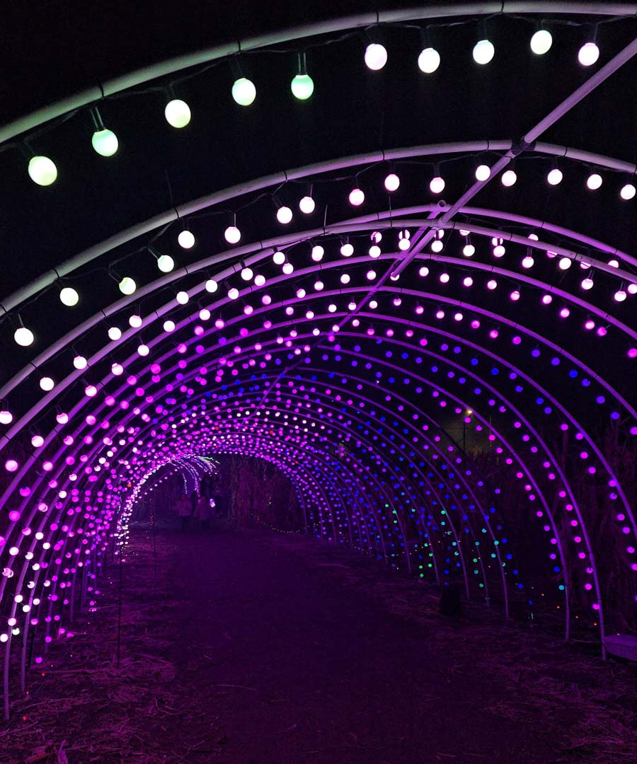 Crazy Corn Maze and Fright Lights (Utah)