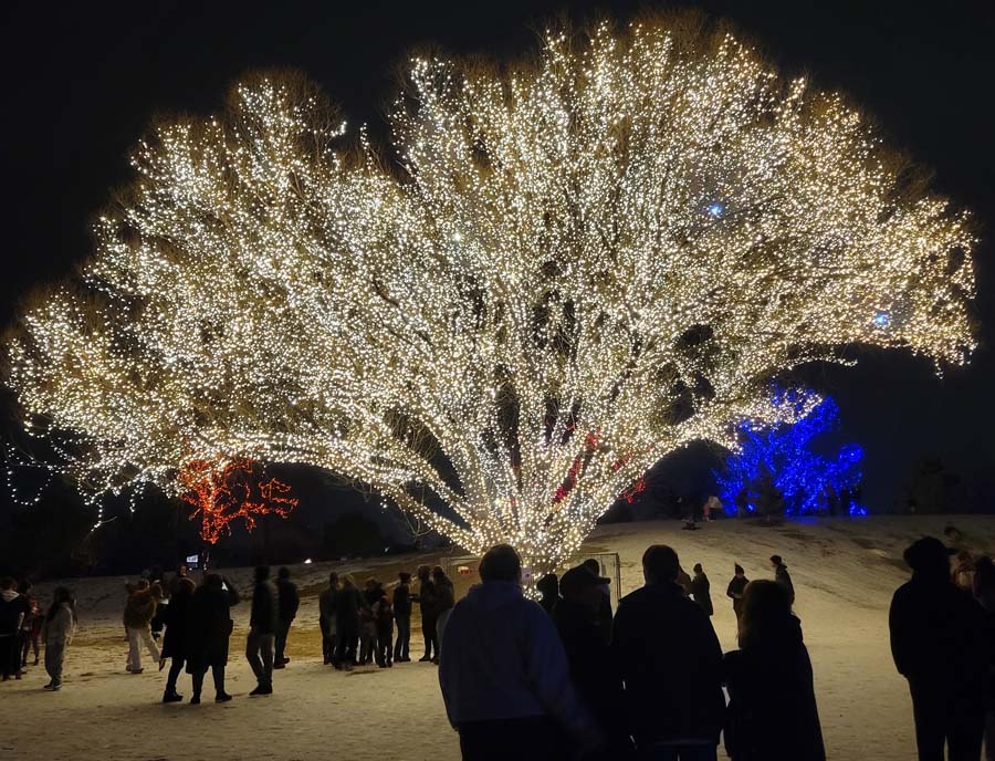 30 unique winter activities in Utah