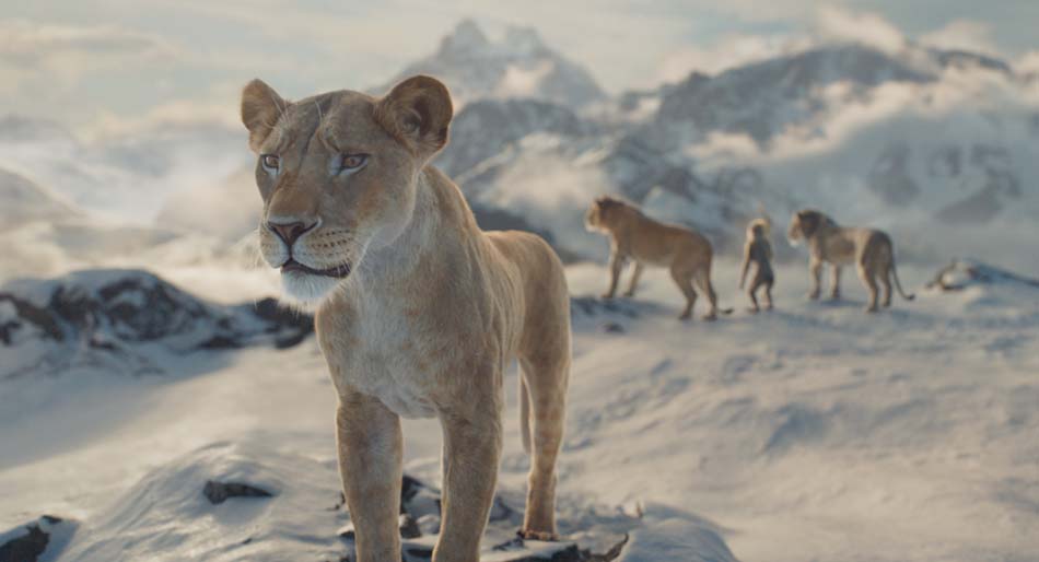 How to stream MUFASA at home
