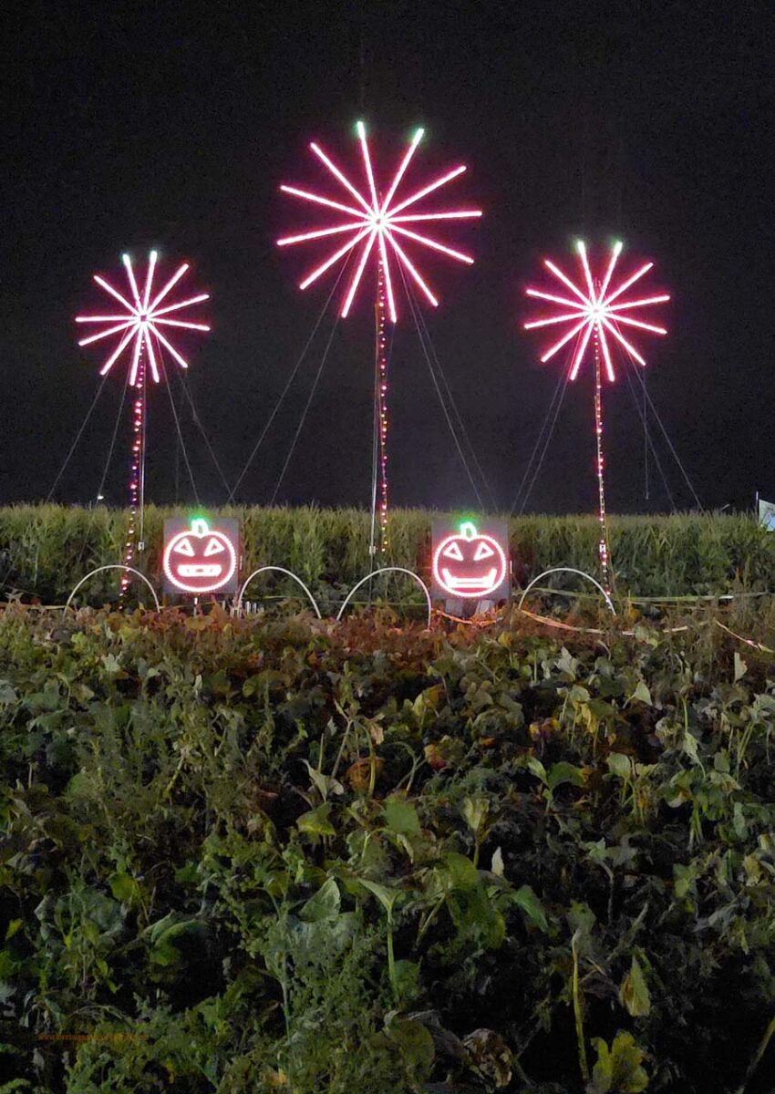 Glen Rays Corn Maze 2025 (Utah)