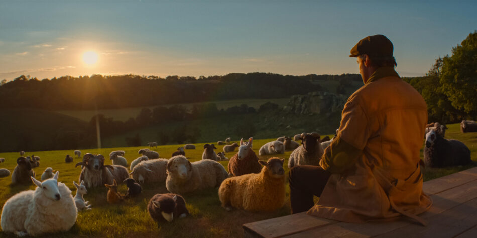 The Sheep Detectives Parents Guide (2026)