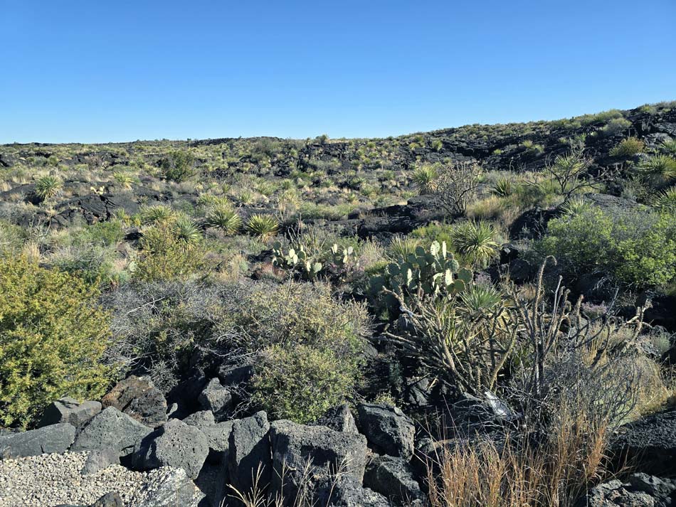 Carrizozo Lava Flow Volcanic Field