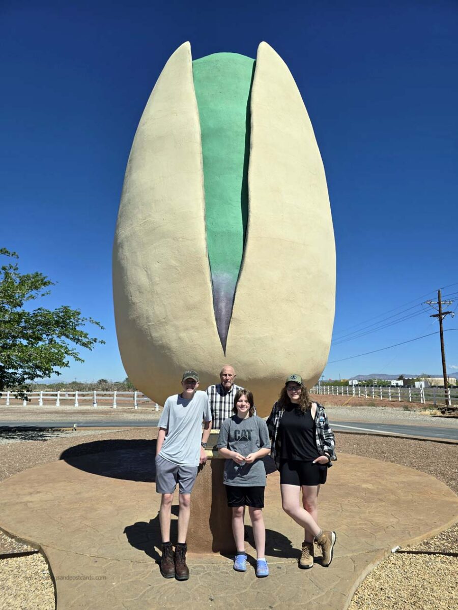 Pistachioland 