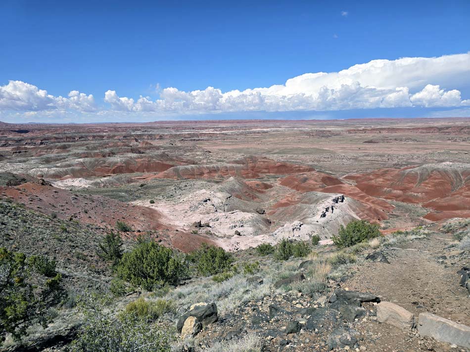 Petrified Forest National Park - Route 66 Arizona