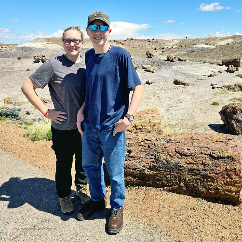 Petrified Forest National Park - Route 66 Arizona