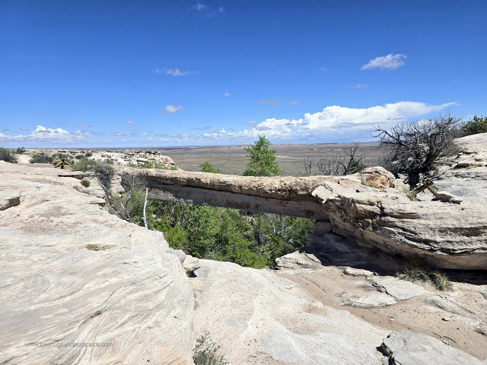 Petrified Forest National Park - Route 66 Arizona