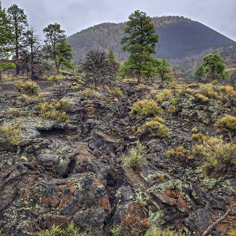 Lava Flow Trail in Sunset Crater National Park - Arizona