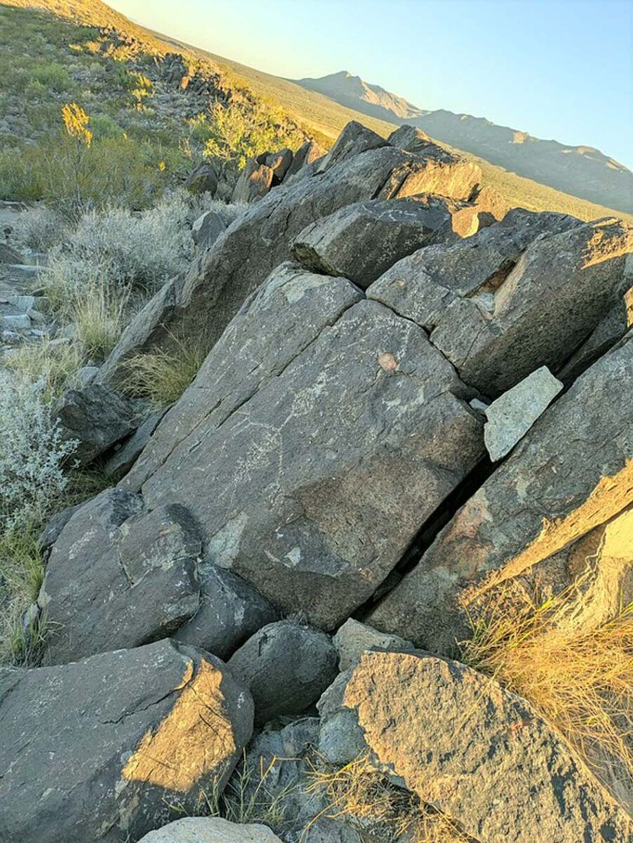 Three Rivers Petroglyph Site